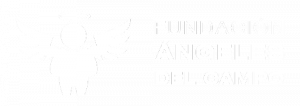 Fundación Ángeles del Campo